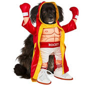 Rocky Pet Costume