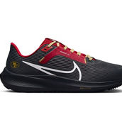 Nike Unisex Anthracite San Francisco 49ers Zoom Pegasus 40 Running Shoe