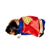 Superman Small Pet Costume