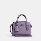 Coach Outlet Andrea Mini Carryall