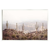 Stupell Wall Plaque Art Cacti Overlooking Desert, 13 x 19