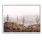 Stupell White Framed Giclee Art Cacti Overlooking Desert, 11 x 14