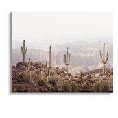 Stupell Canvas Wall Art Cacti Overlooking Desert, 24 x 30