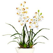 Nearly Natural Cymbidium with White Vase Silk Flower Arrangement