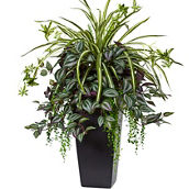 Nearly Natural Wandering Jew and Spider Plant in Black Planter