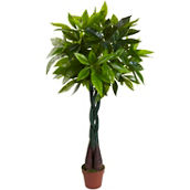 Nearly Natural 4-ft Money Plant (Real Touch)