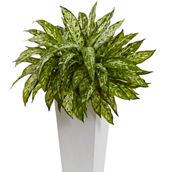 Nearly Natural Aglaonema Artificial Plant with White Decorative Planter