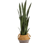 Nearly Natural 46-in Sansevieria Artificial Plant in Boho Chic Handmade Cotton & J