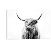 Portrait Of A Highland Cow Photography Modern Decorative  Stylish Art by Dorit Fuhg