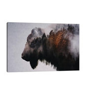Bison Photography Stylish Canvas Art Print by Andreas Lie - Large Art