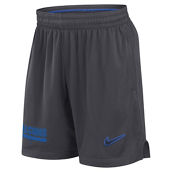 Nike Men's Charcoal Air Force Falcons 2024 Sideline Mesh Shorts