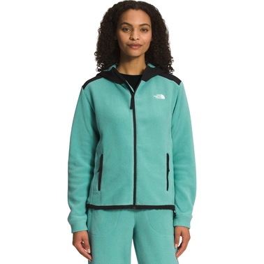 The North Face Alpine Polartec 200 Full Zip Hoodie | Jackets | Clothing ...
