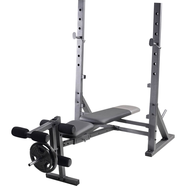 Gold's Gym Xr 10.1 Training Bench | Strength Training | Sports ...