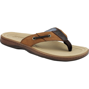 Sperry Men's Baitfish Thong Sandals | Sandals & Flip Flops | Swim Shop ...