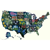 GreenBox Art Canvas State Flower United States