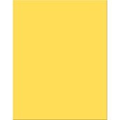 Pacon 18 Point 22 in. x 28 in. Yellow Poster Board