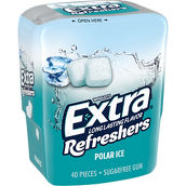 Extra Refreshers Polar Ice Chewing Gum, 40 Pieces