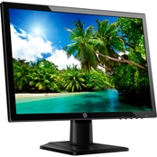 HP 19.5 in. LED Monitor