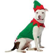 Rasta Imposta Elf Dog Costume