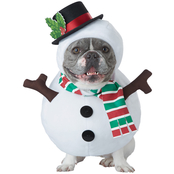 California Costumes Dog Snowman Costume, Medium