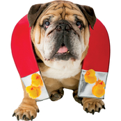 Rasta Imposta Zelda Chick Magnet Dog Costume