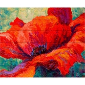 Trademark Fine Art Marion Rose 'Red Poppy III' Wood Slat Art