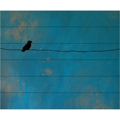 Trademark Fine Art Nicole Dietz Lone Bird Blue Wood Slat Art 22 x 18