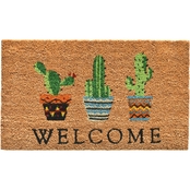 Calloway Mills 17 x 29 in. Cactus Welcome Doormat