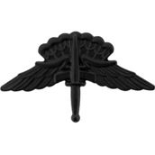 Army Halo Wing Basic Sta-Brite Black Pin-on