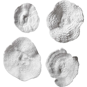Uttermost Sea Coral Wall Art Set of 4