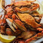 Harbour House Crabs Premium Crab Feast Set, One Dozen