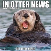 2021 In Otter News Wall Calendar