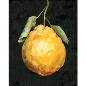 Inkstry Dark Lemon II Giclee Gallery Wrap Canvas Print