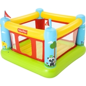 Fisher-Price Bouncetastic Bouncer