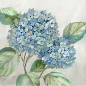 Inkstry Hydrangea Beauty I Gallery Wrap Canvas Print
