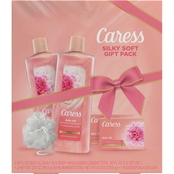 Caress Daily Silk Bar Soap and Hydrating Body Wash 2 pc. Gift Set
