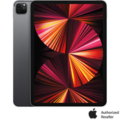 Apple iPad Pro 11 in. 128GB with Wi-Fi (Latest Model)