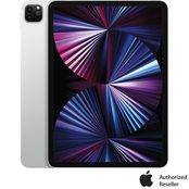 Apple iPad Pro 11 in. 1TB with Wi-Fi (Latest Model)