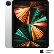 Apple iPad Pro 12.9 in. 256GB with Wi-Fi (Latest Model)