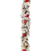 National Tree Company 9 ft. Snowy Bristle Pine Garland with Clear Lights