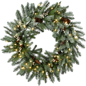 National Tree Company 24 in. Snowy Morgan Spruce Wreath with LED Lights
