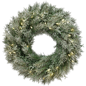 National Tree Company 24 in. Snowy Stonington Fir Wreath with LED Lights
