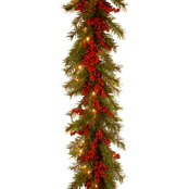 National Tree Company 9 ft. Valley Pine Garland with 50 Warm White LED Lights