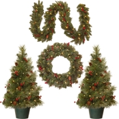 National Tree Company Evergreen Assortment with Battery Operated LED Lights