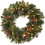 National Tree Company 20 in. Crestwood Spruce Wreath with Clear Lights