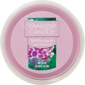 Yankee Candle Wild Orchid MeltCup