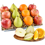 Capital City Premium Signature Fruit Gift Basket Pears, Apples & Oranges 12 pc.