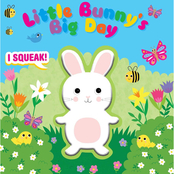 Little Bunny's Big Day