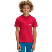The North Face Little Boys Triblend Tee