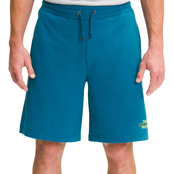 The North Face Coordinates 9 in. Shorts